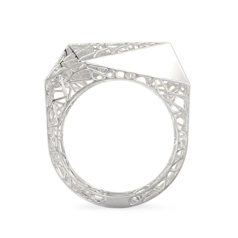 Stylish Spider Web White Gold Ring3